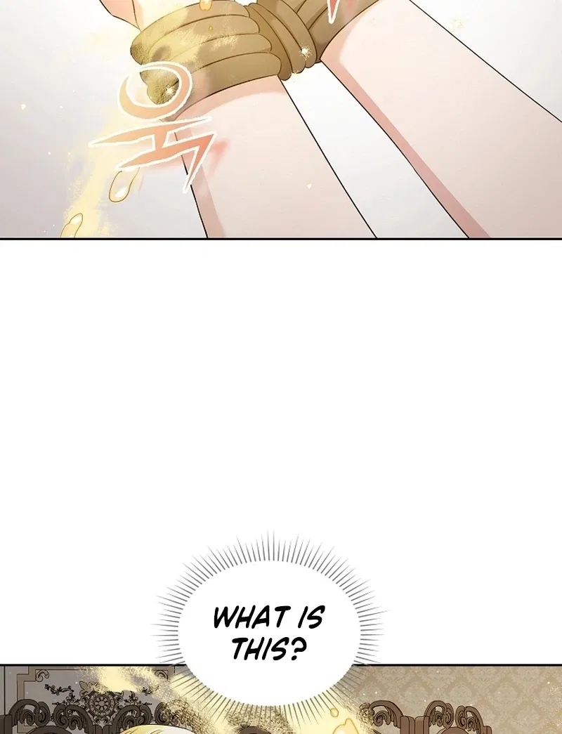 I Opened an Illegal Veterinary Clinic in Another World Chapter 21 – Page 29