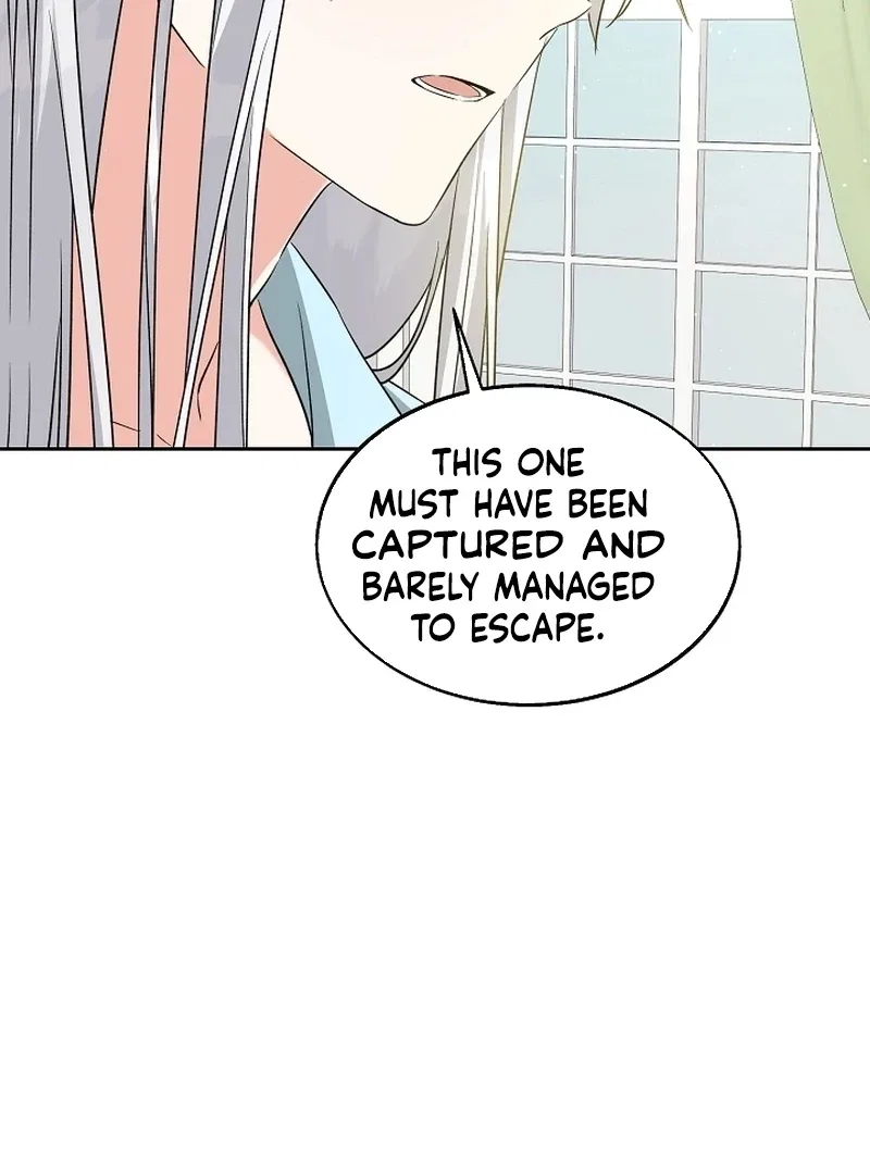 I Opened an Illegal Veterinary Clinic in Another World Chapter 21 – Page 97