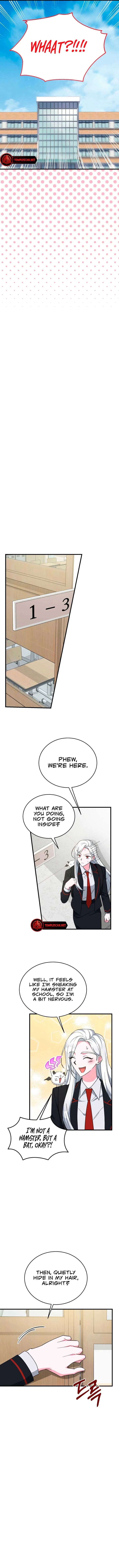My Classmates Are Vampire Chapter 24 – Page 4