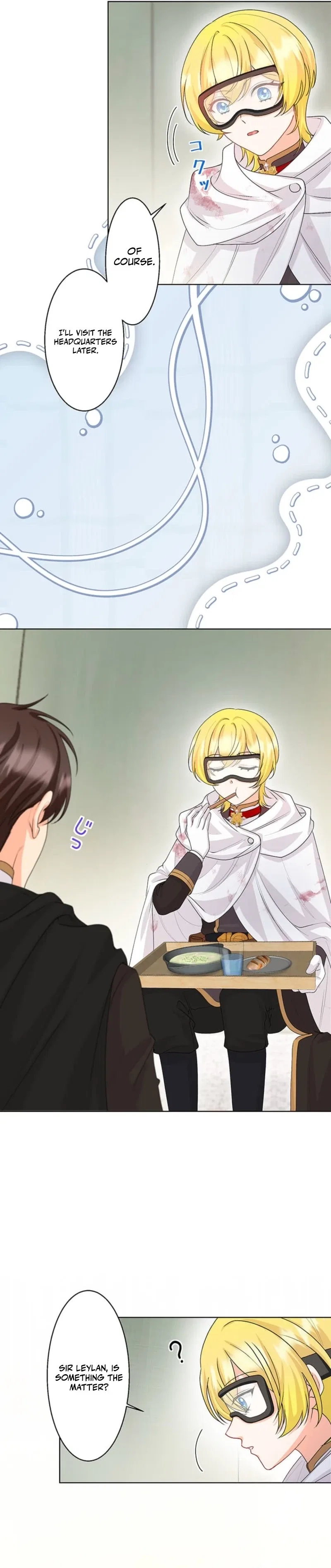 The Holy Sword Lady’s Fangirl Life: I’ll Protect My Beloved Knight Chapter 14 – Page 23