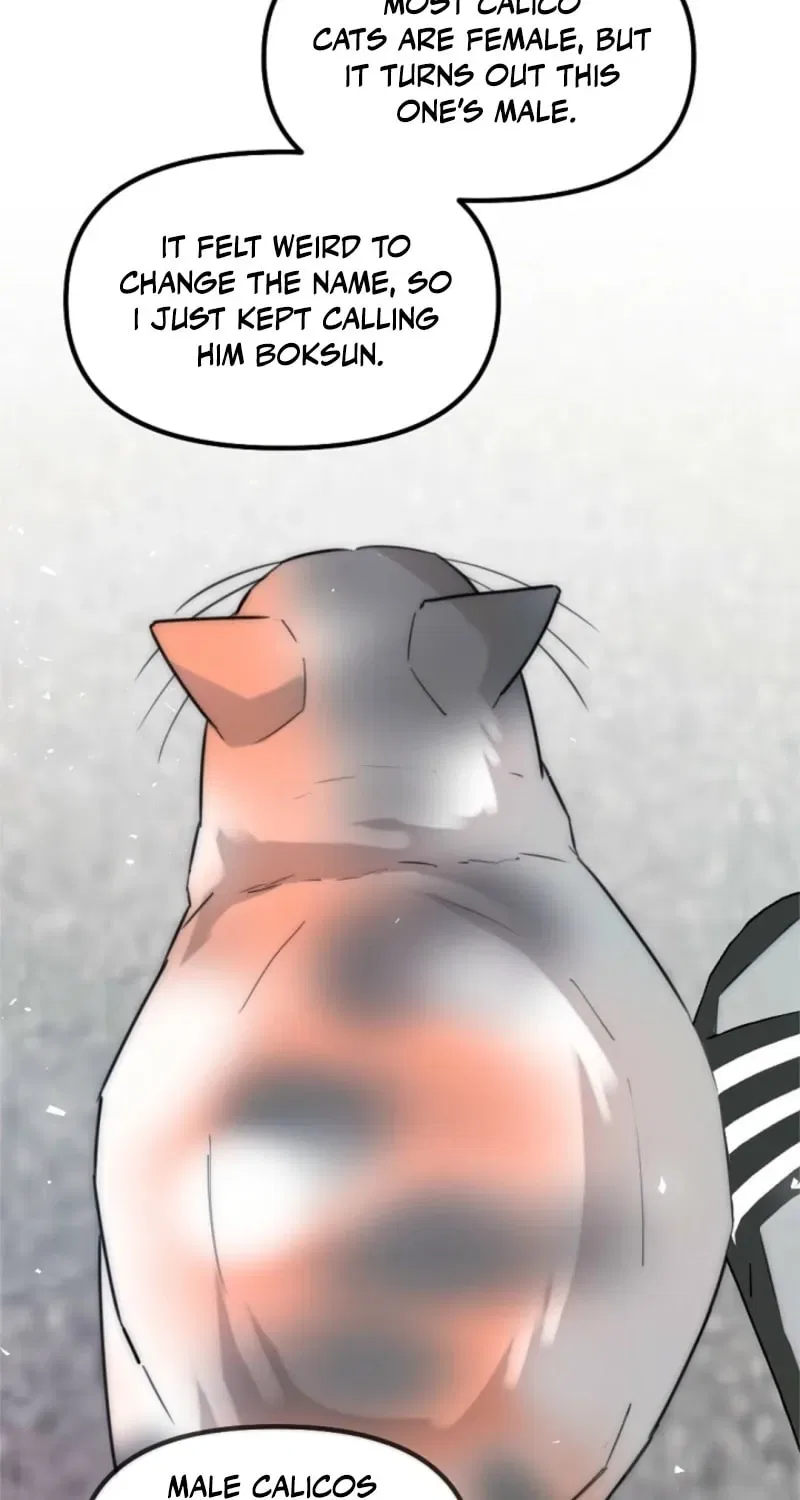 The Teacher in the Trap Chapter 8 – Page 54