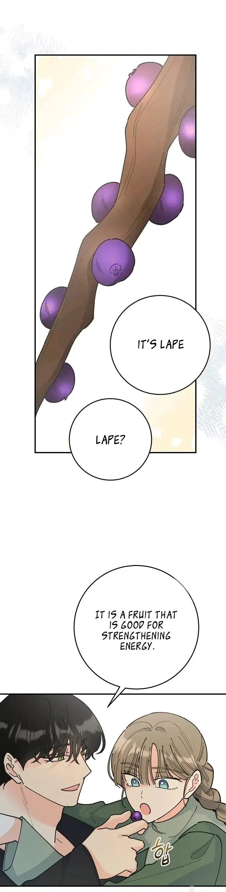 The Evil Lady’s Hero Side Story Chapter 3 – Page 24