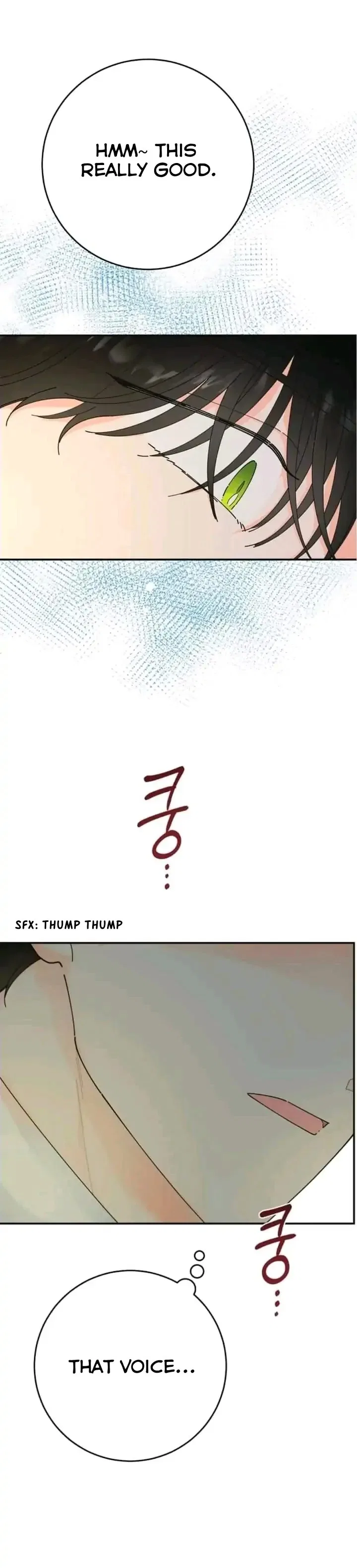 The Evil Lady’s Hero Side Story Chapter 1 – Page 3
