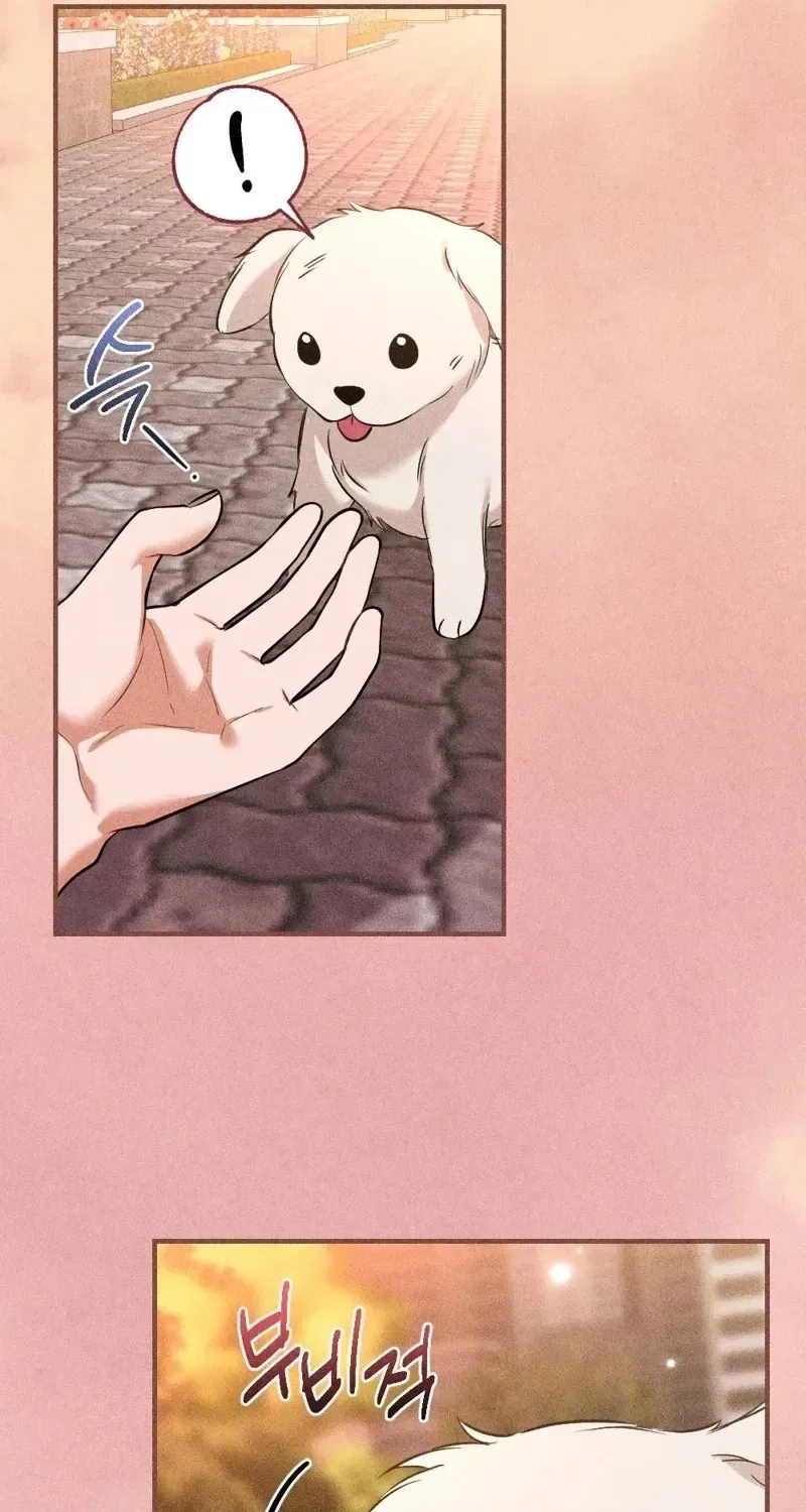 The Child I Secretly Gave Birth To Chapter 13 – Page 81