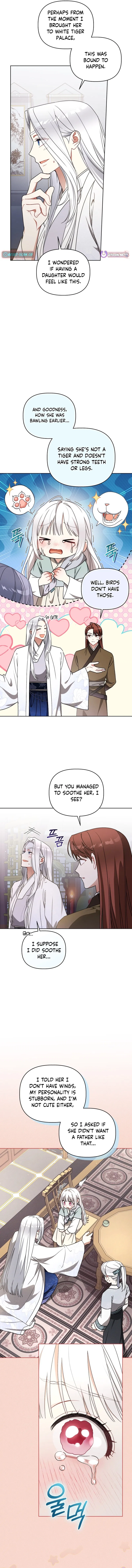 The White Tiger Clan’s Baby Cotton Ball Chapter 24 – Page 12