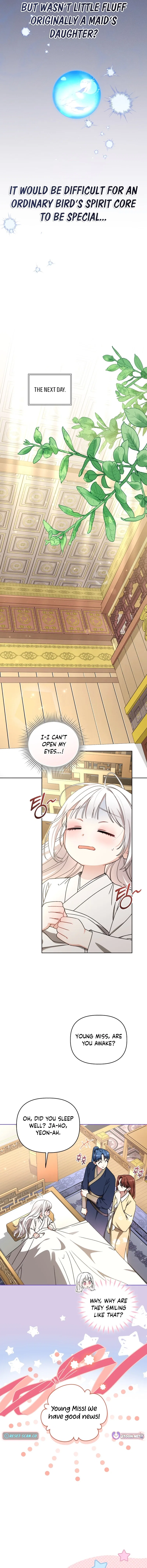 The White Tiger Clan’s Baby Cotton Ball Chapter 24 – Page 19