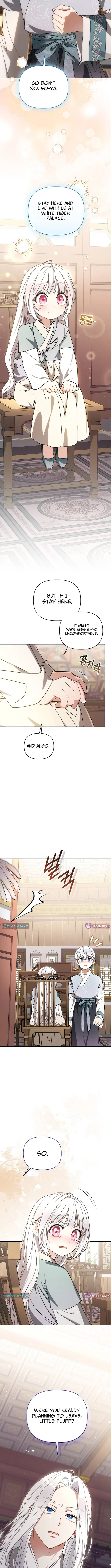 The White Tiger Clan’s Baby Cotton Ball Chapter 23 – Page 13