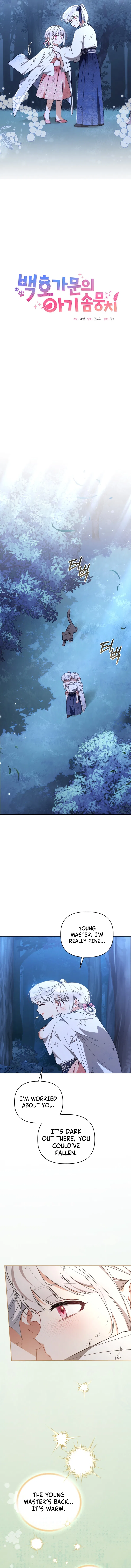 The White Tiger Clan’s Baby Cotton Ball Chapter 19 – Page 3