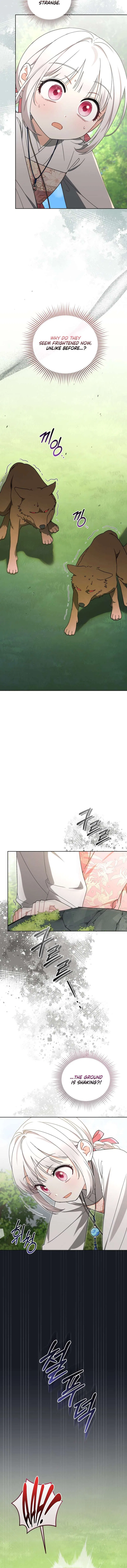 The White Tiger Clan’s Baby Cotton Ball Chapter 17 – Page 4