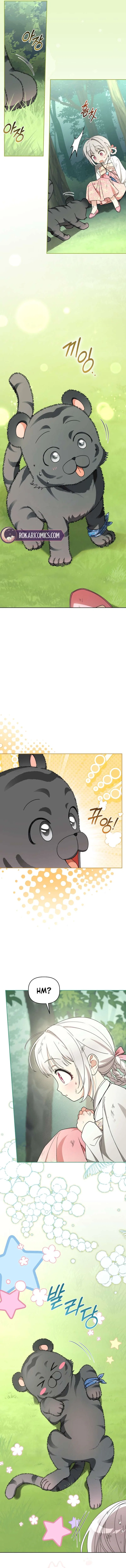 The White Tiger Clan’s Baby Cotton Ball Chapter 17 – Page 8