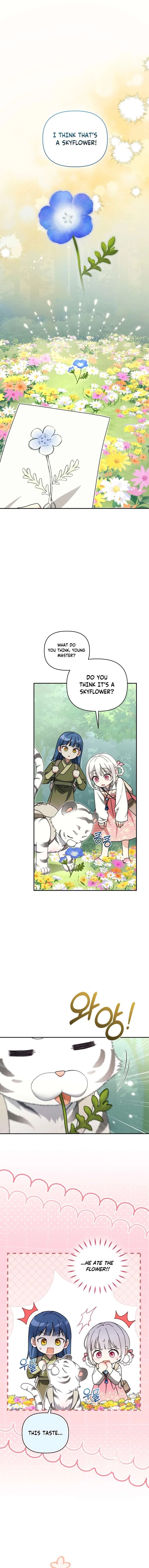 The White Tiger Clan’s Baby Cotton Ball Chapter 16 – Page 11