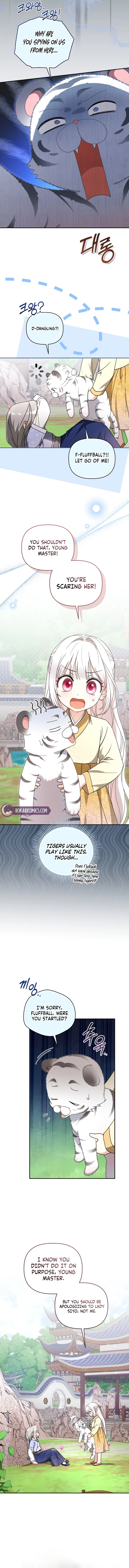 The White Tiger Clan’s Baby Cotton Ball Chapter 15 – Page 11