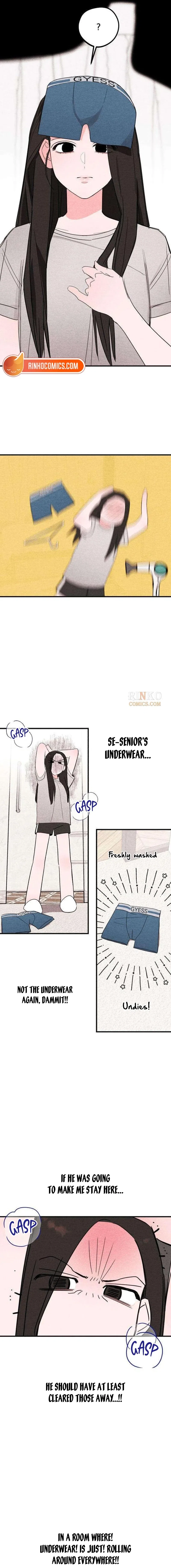 The Perfect Senior’s Secret! Chapter 8 – Page 4