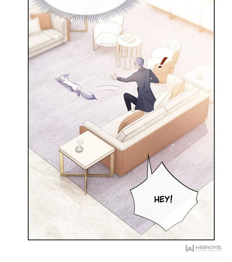 The Killer Boss is raising a Fox Chapter 73 – Page 8