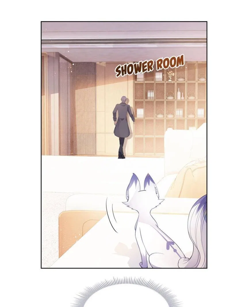 The Killer Boss is raising a Fox Chapter 73 – Page 13