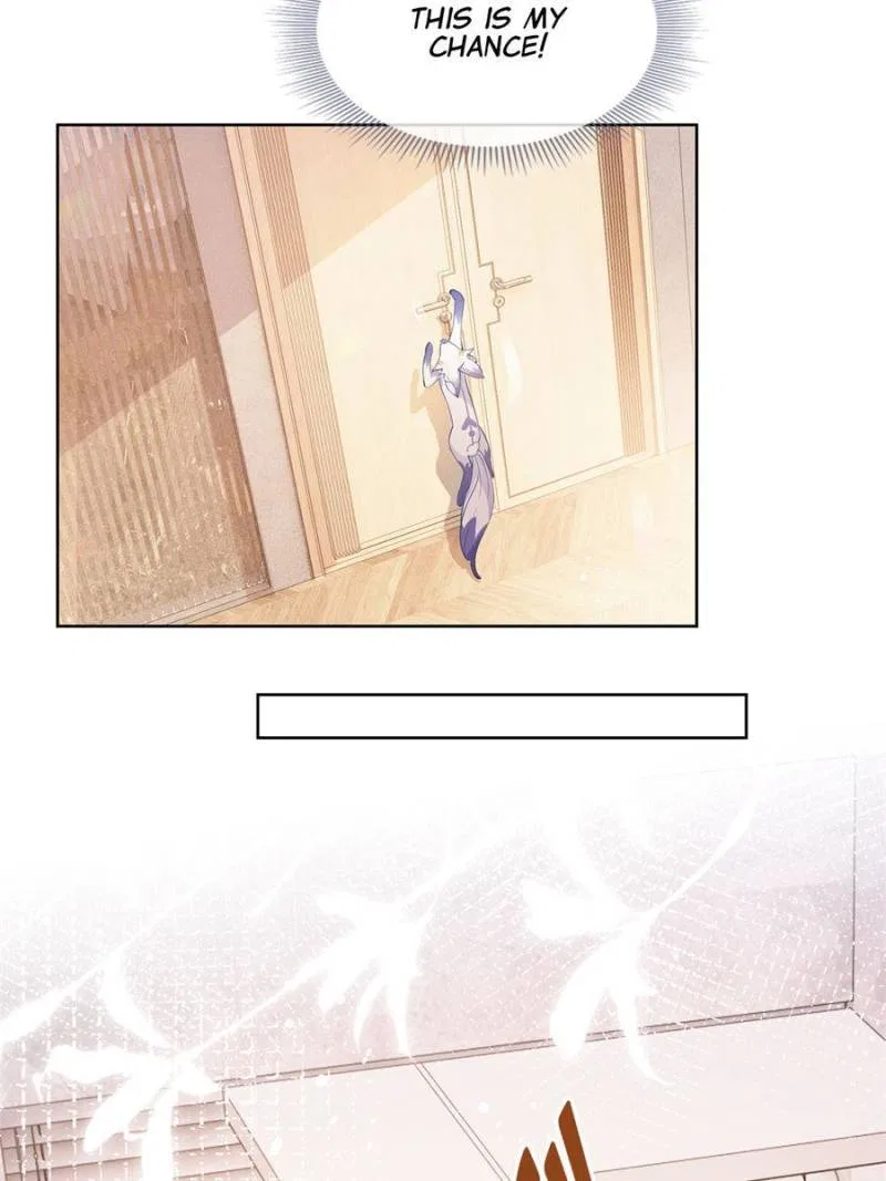 The Killer Boss is raising a Fox Chapter 73 – Page 14