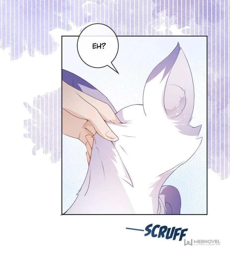 The Killer Boss is raising a Fox Chapter 72 – Page 37