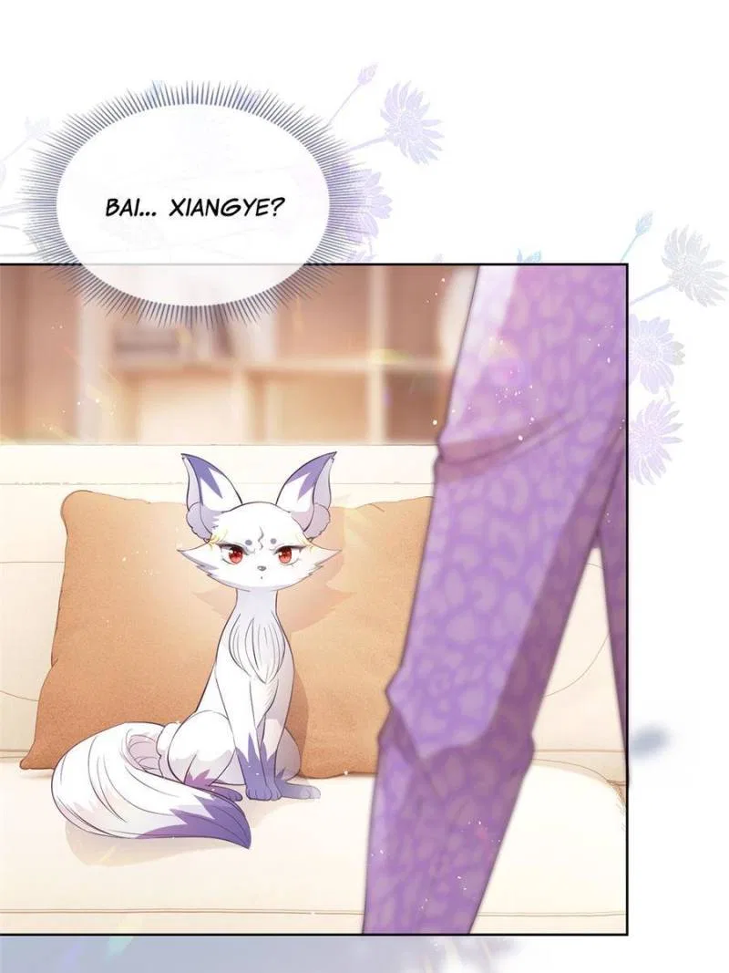 The Killer Boss is raising a Fox Chapter 71 – Page 31