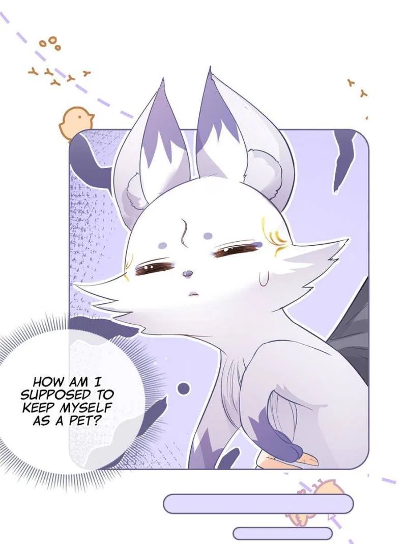 The Killer Boss is raising a Fox Chapter 70 – Page 24