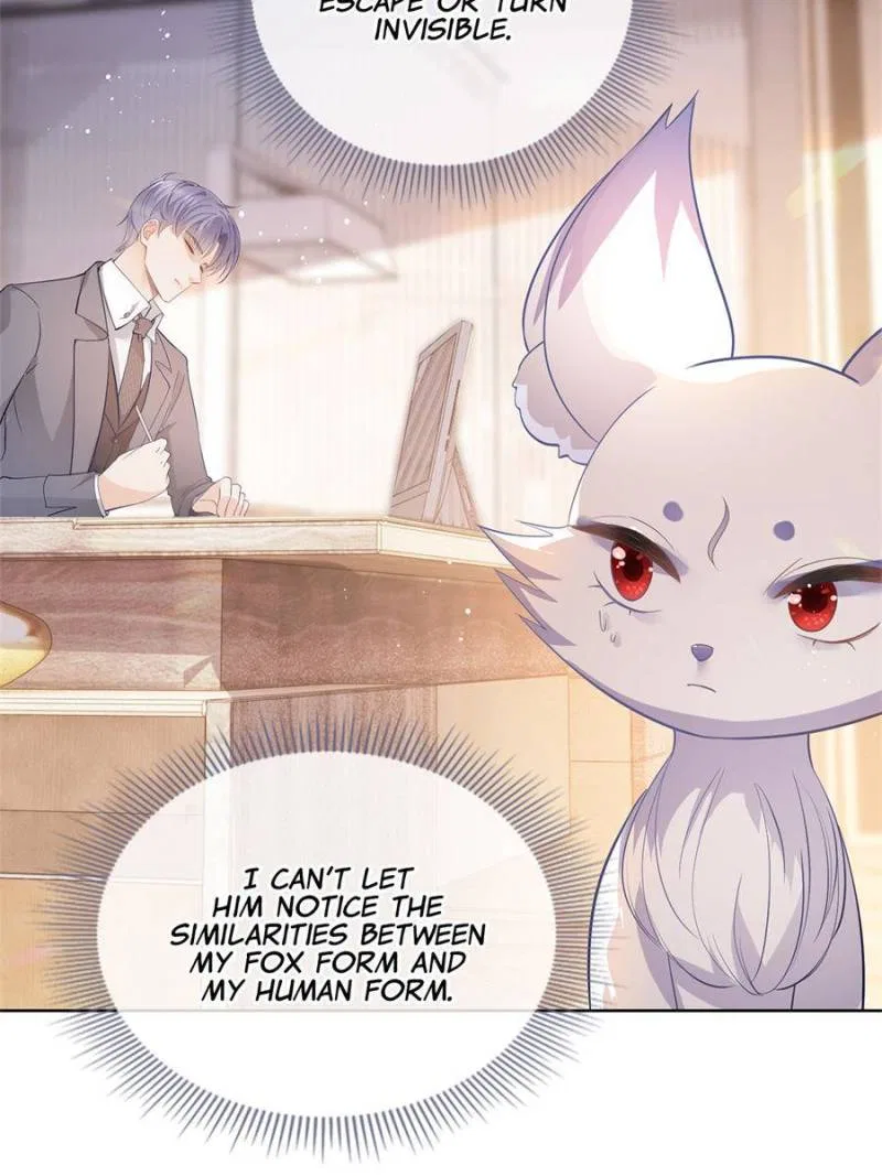 The Killer Boss is raising a Fox Chapter 70 – Page 34
