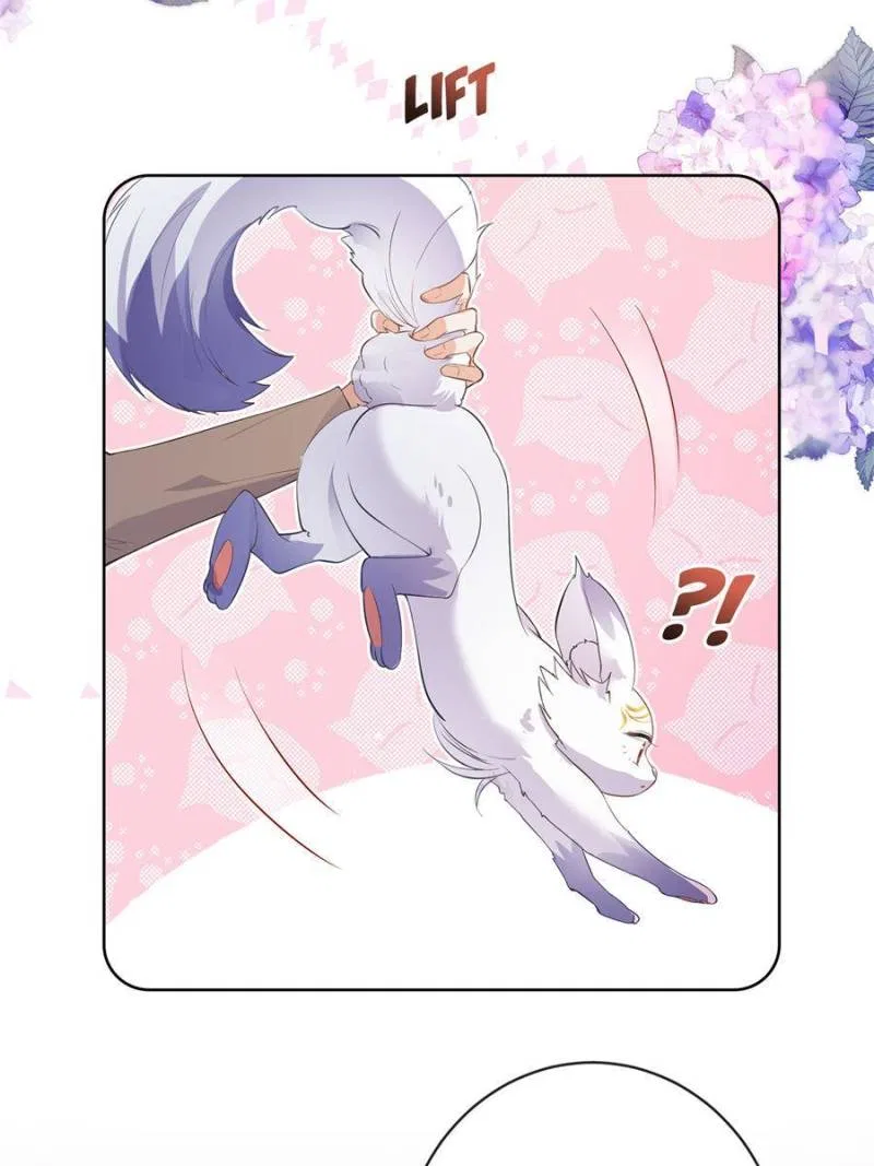 The Killer Boss is raising a Fox Chapter 69 – Page 23