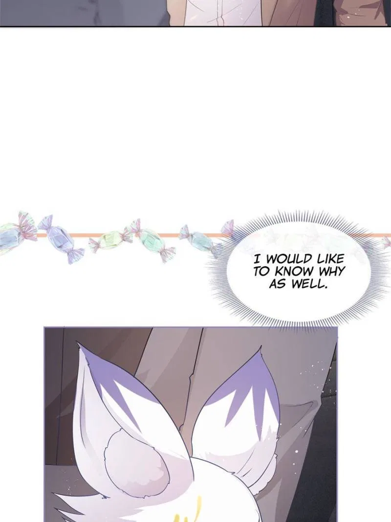 The Killer Boss is raising a Fox Chapter 69 – Page 42