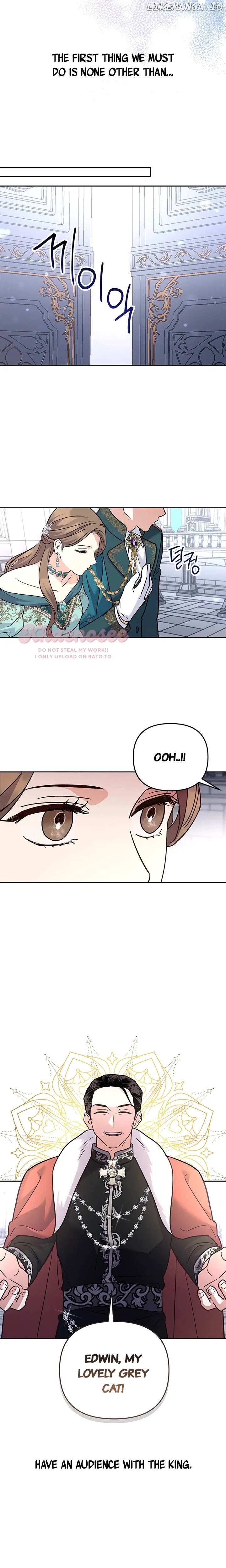 Cat in the Chrysalis Chapter 63 – Page 13