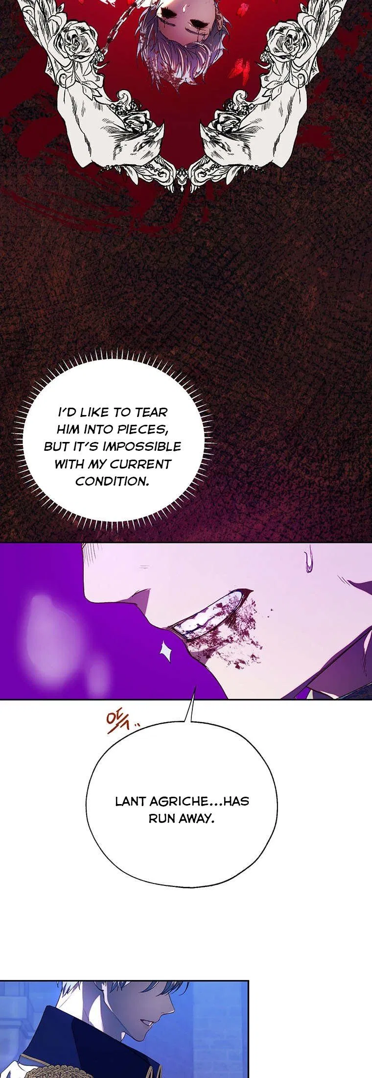 The Way to Protect the Female Lead’s Older Brother Chapter 43 – Page 17
