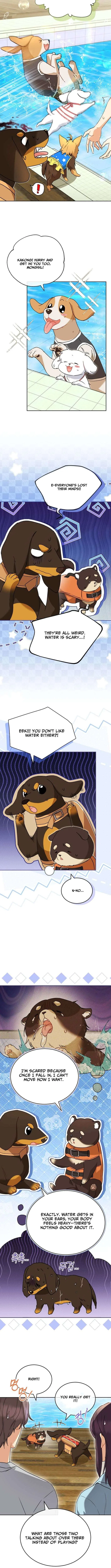 Veterinarian! Hello? Chapter 129 – Page 5