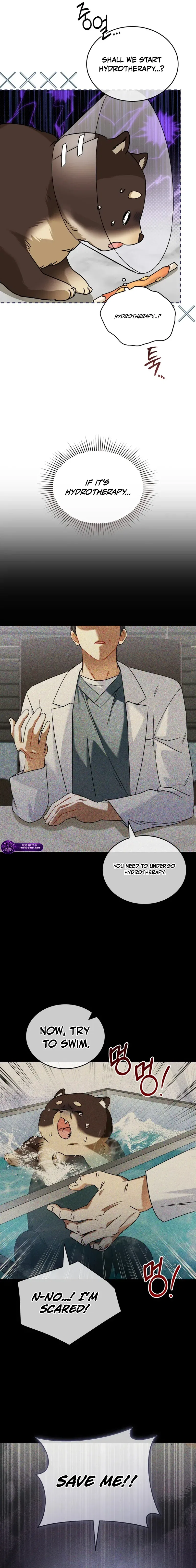 Veterinarian! Hello? Chapter 128 – Page 3