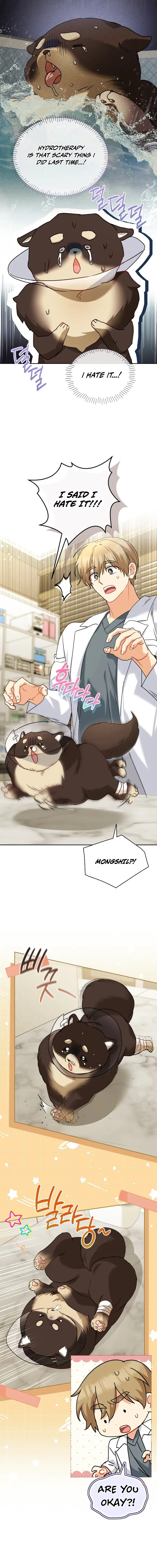 Veterinarian! Hello? Chapter 128 – Page 4