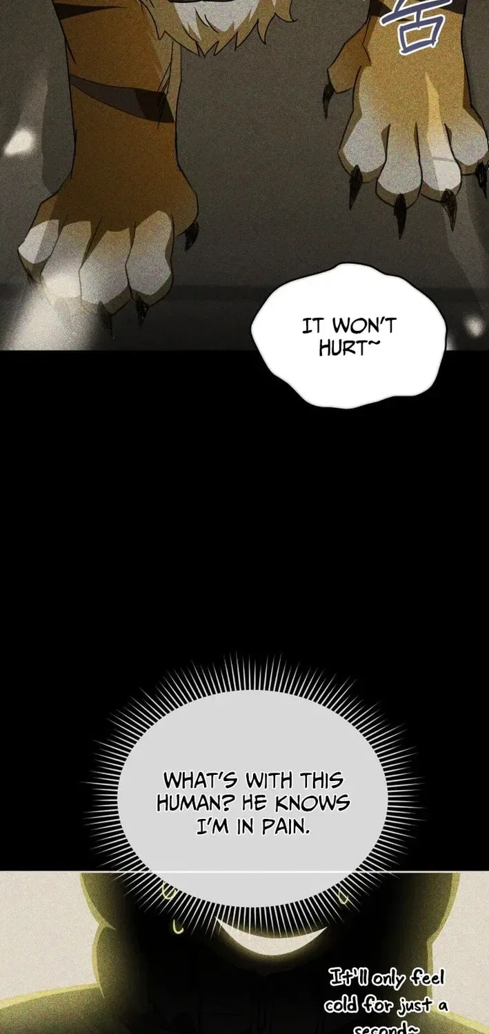 Veterinarian! Hello? Chapter 127 – Page 32