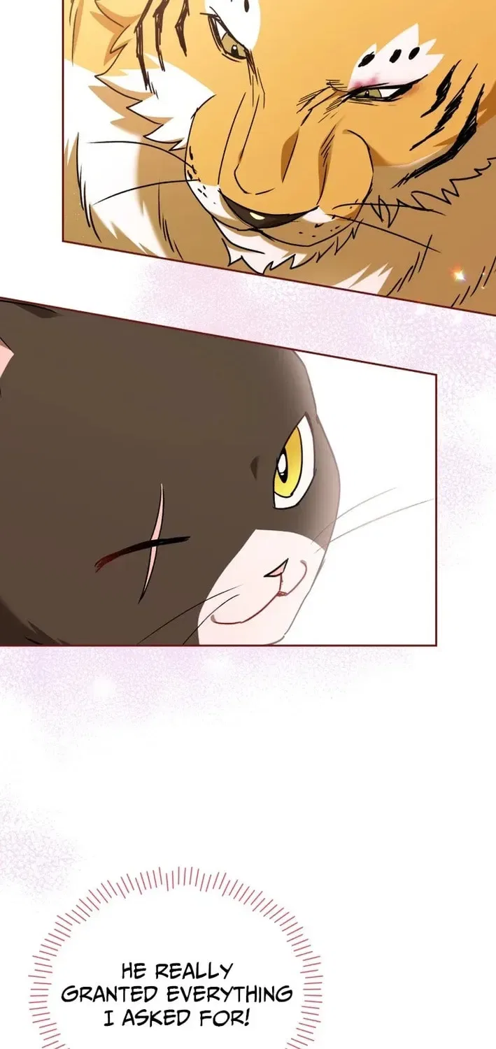 Veterinarian! Hello? Chapter 127 – Page 44