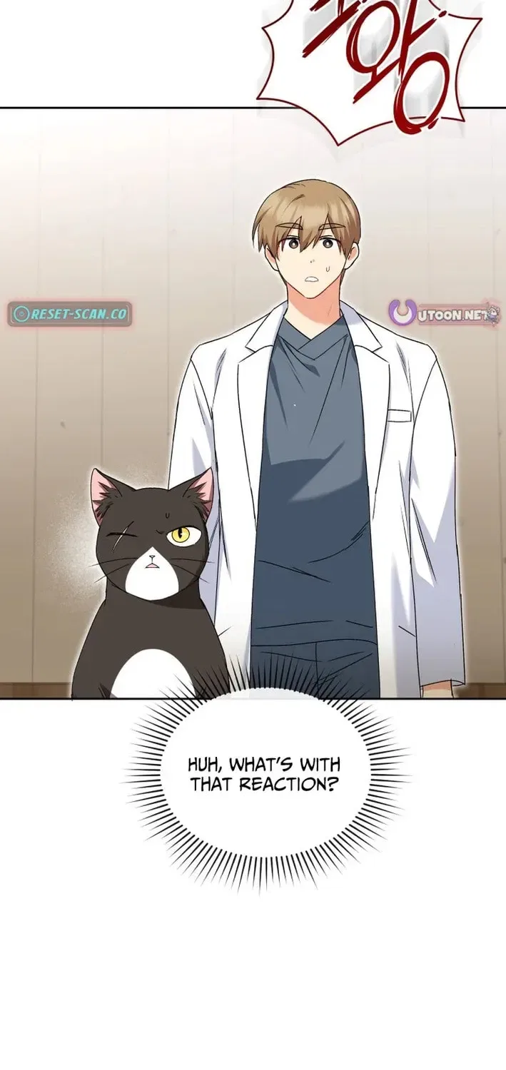 Veterinarian! Hello? Chapter 126 – Page 2