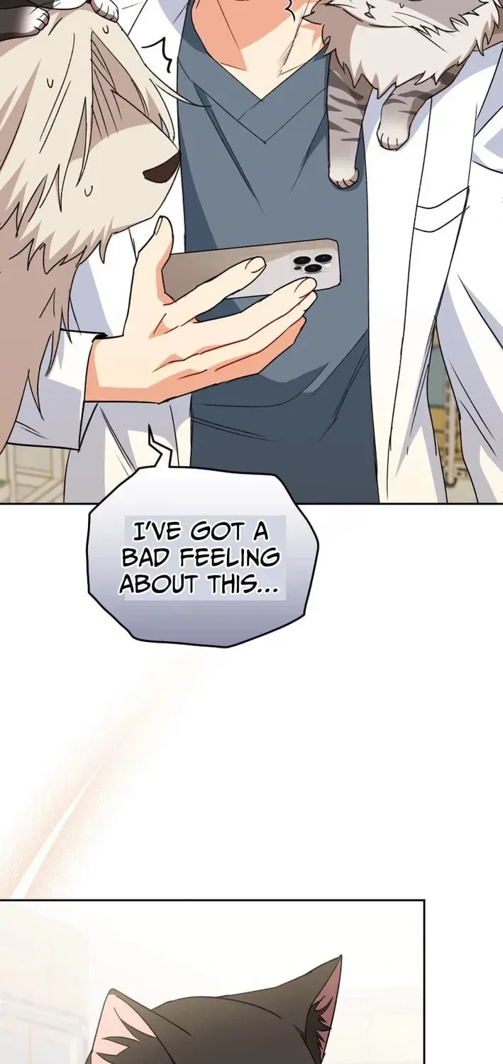Veterinarian! Hello? Chapter 125 – Page 43
