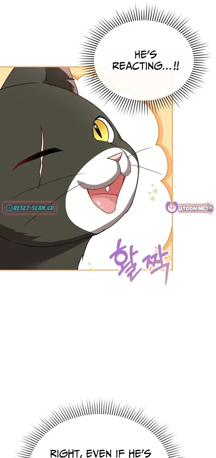 Veterinarian! Hello? Chapter 125 – Page 73