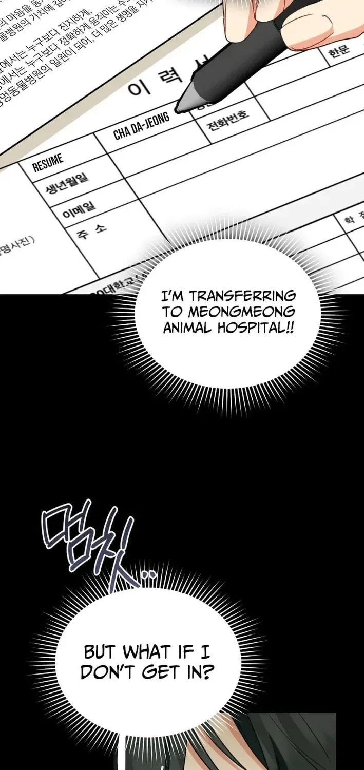 Veterinarian! Hello? Chapter 122 – Page 41