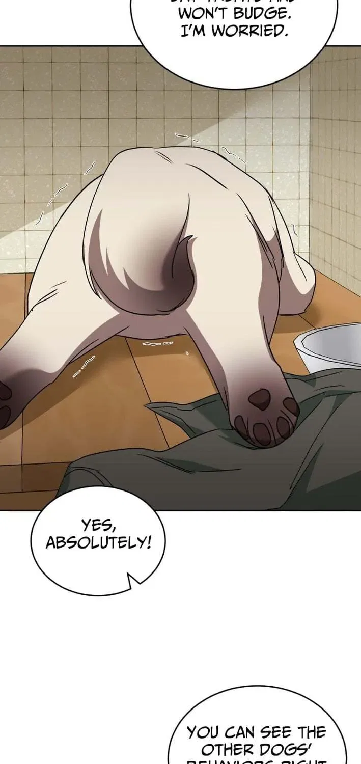 Veterinarian! Hello? Chapter 121 – Page 27