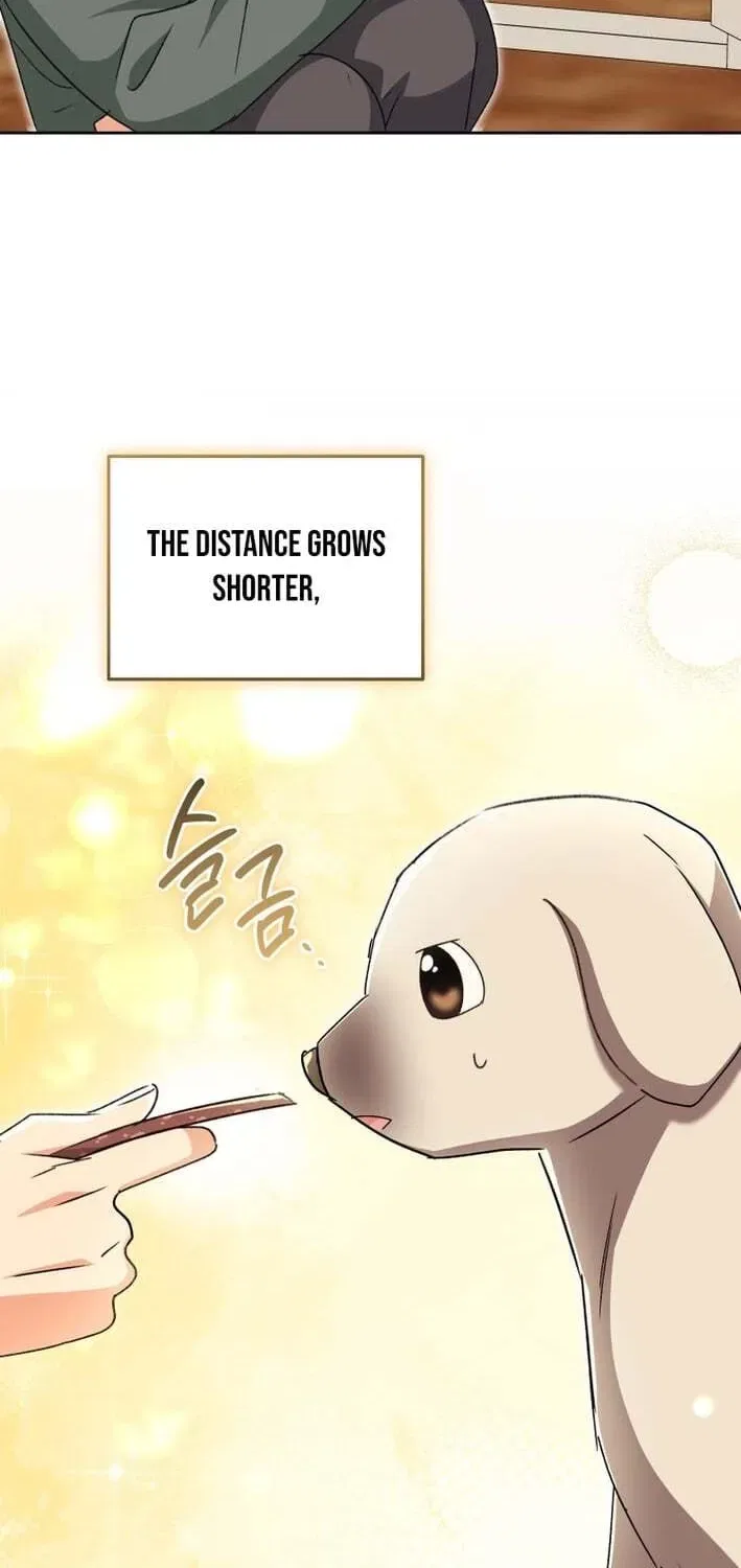 Veterinarian! Hello? Chapter 121 – Page 44