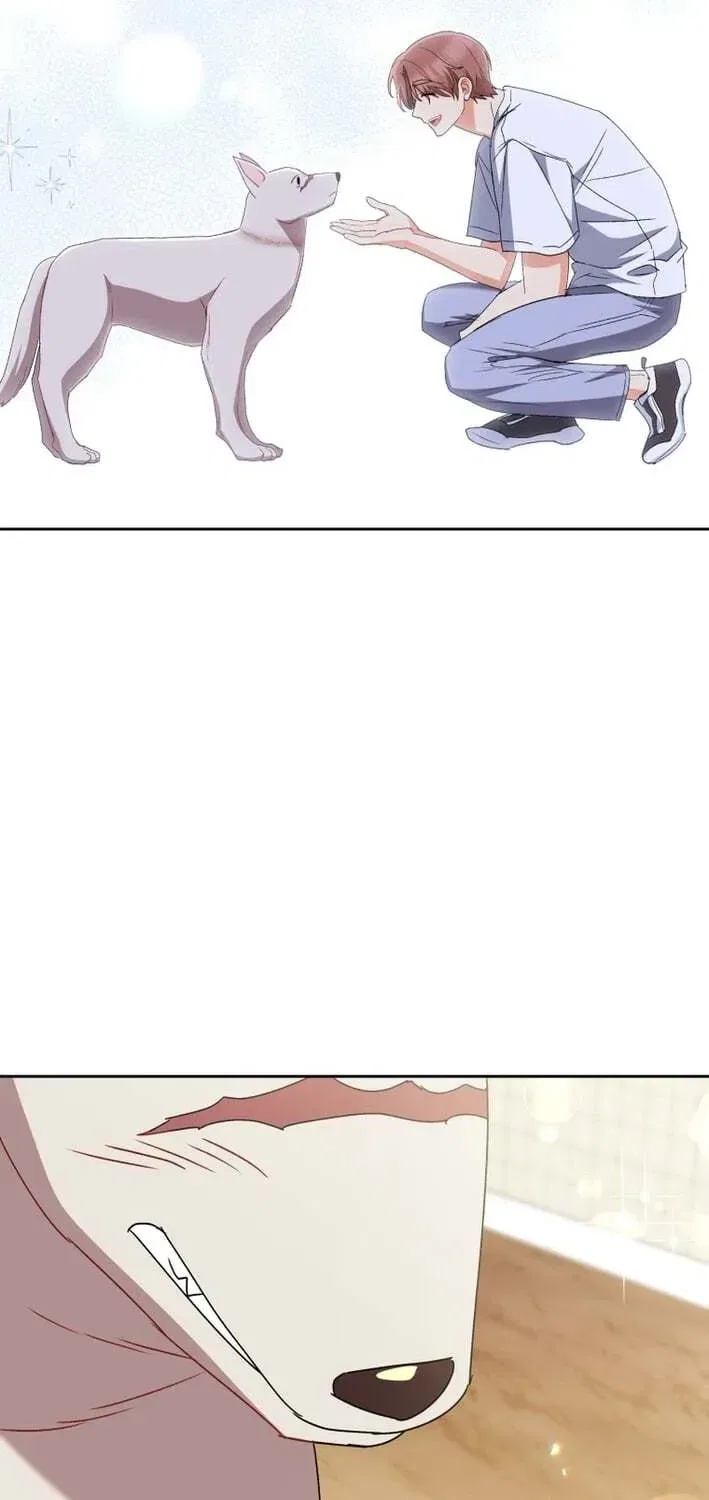 Veterinarian! Hello? Chapter 121 – Page 75