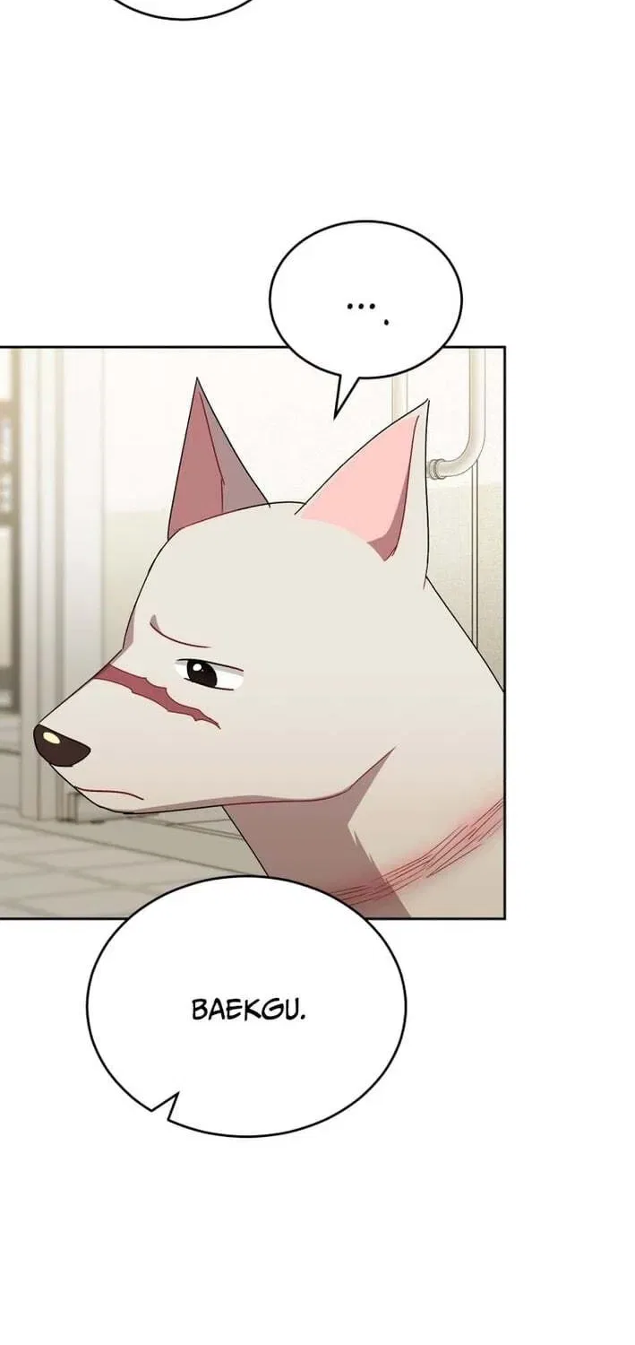 Veterinarian! Hello? Chapter 120 – Page 25