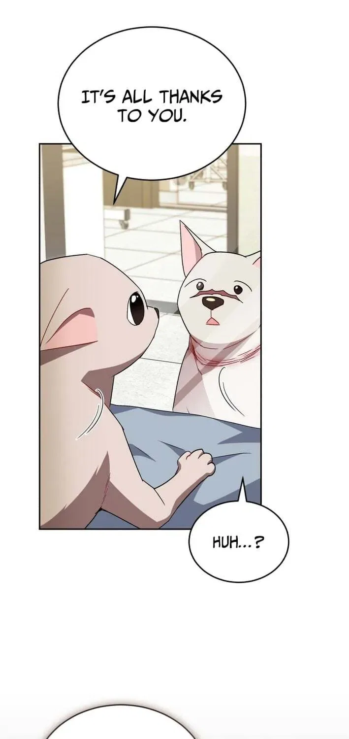Veterinarian! Hello? Chapter 120 – Page 26