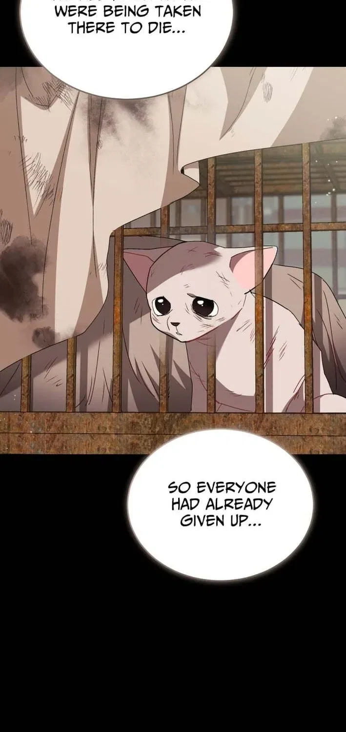 Veterinarian! Hello? Chapter 120 – Page 31