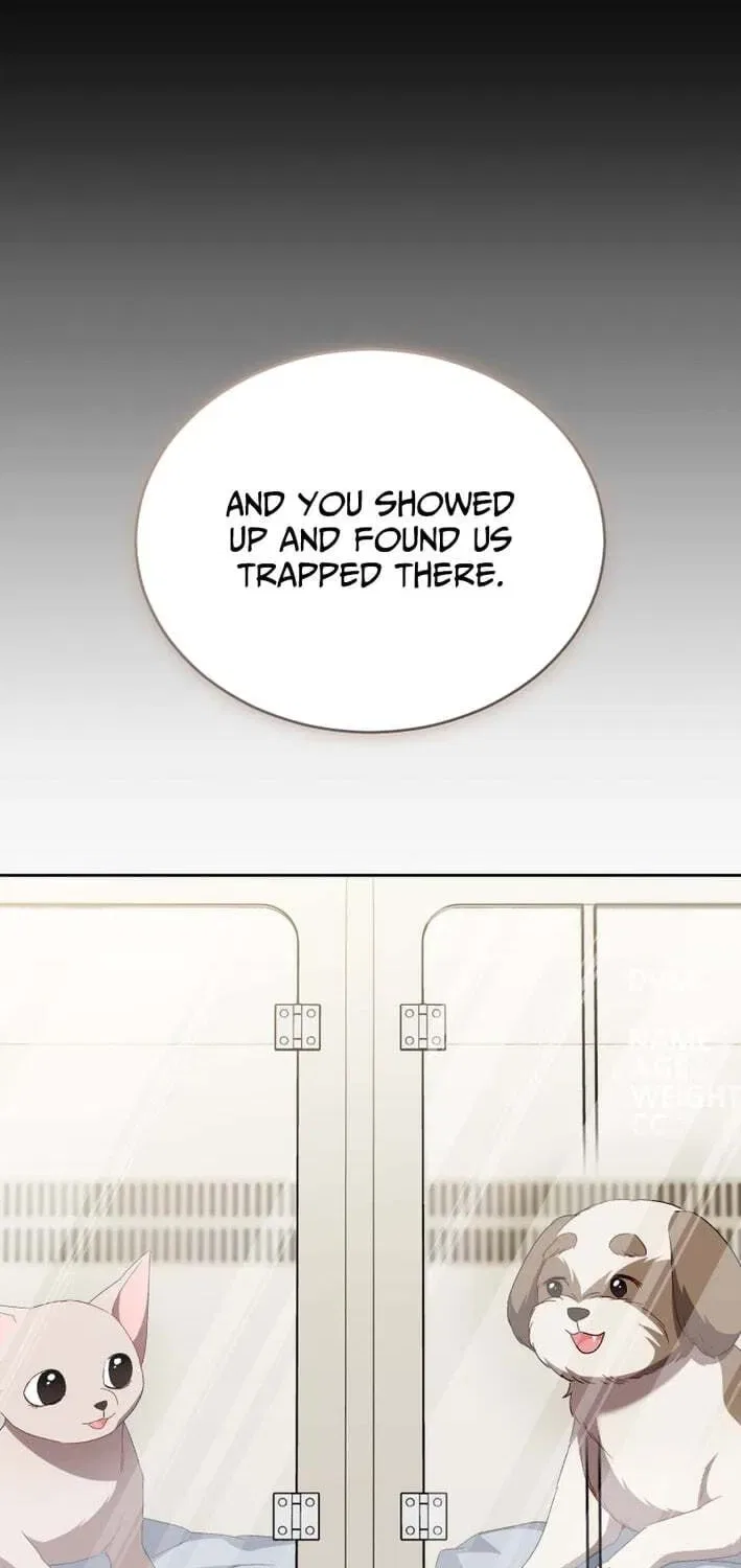 Veterinarian! Hello? Chapter 120 – Page 33