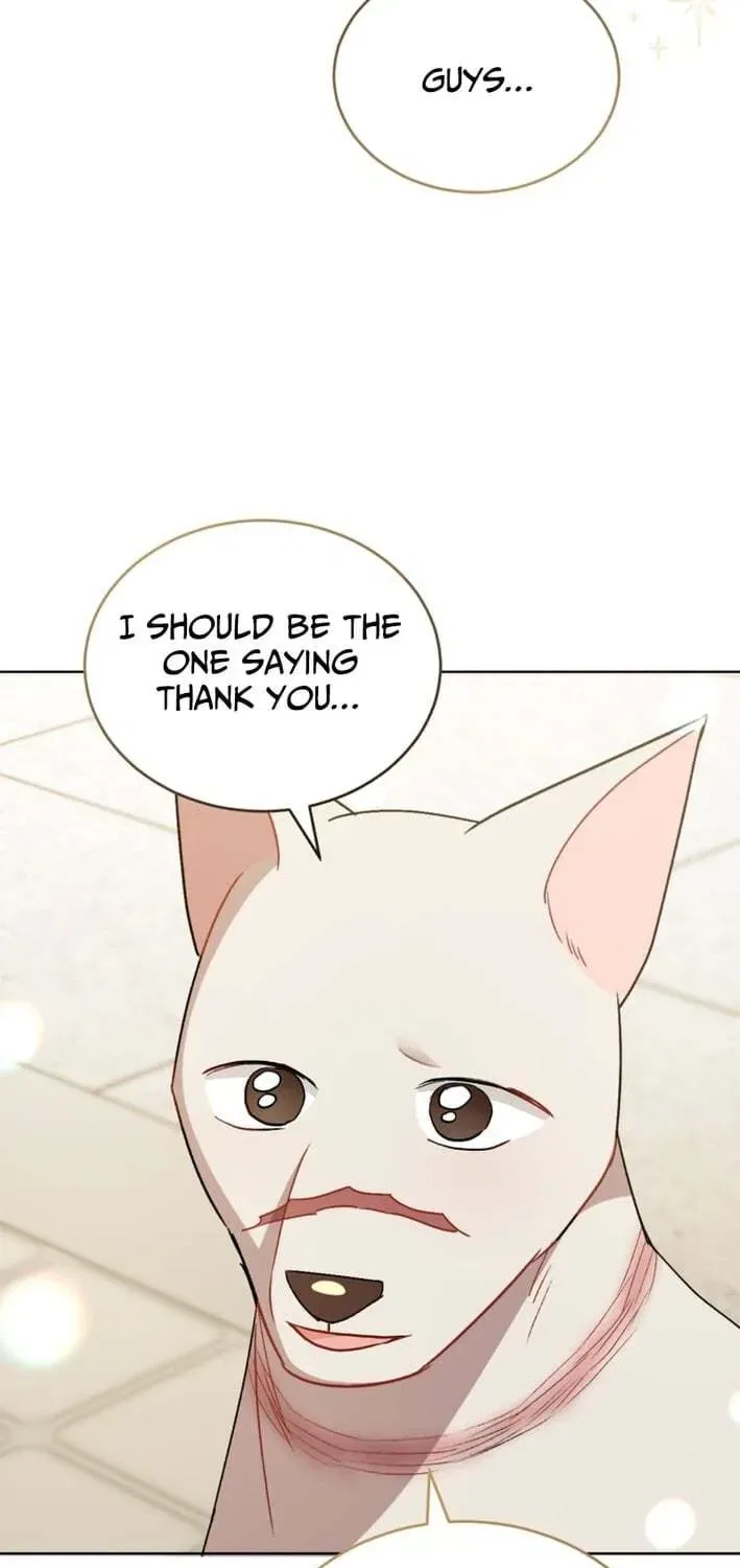 Veterinarian! Hello? Chapter 120 – Page 36