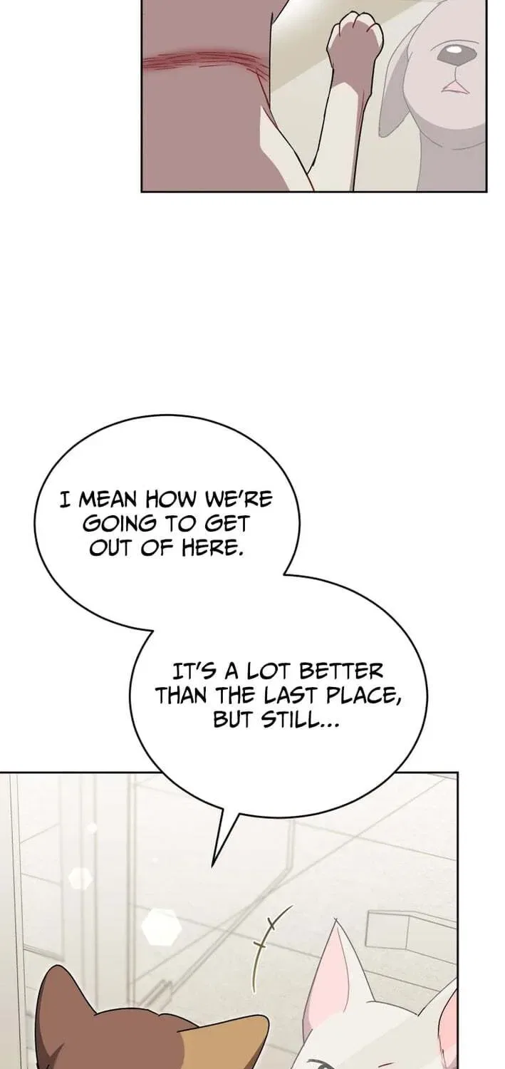 Veterinarian! Hello? Chapter 120 – Page 38