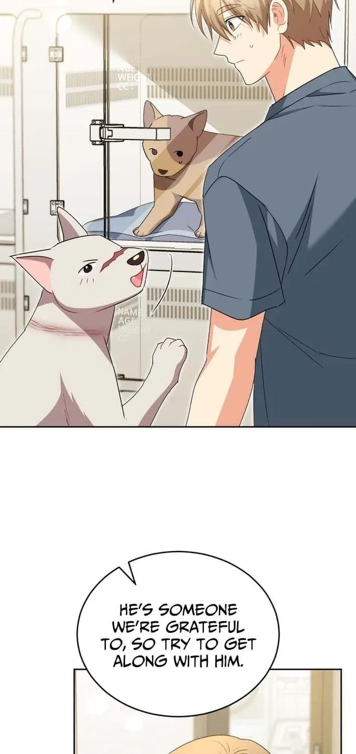 Veterinarian! Hello? Chapter 120 – Page 40