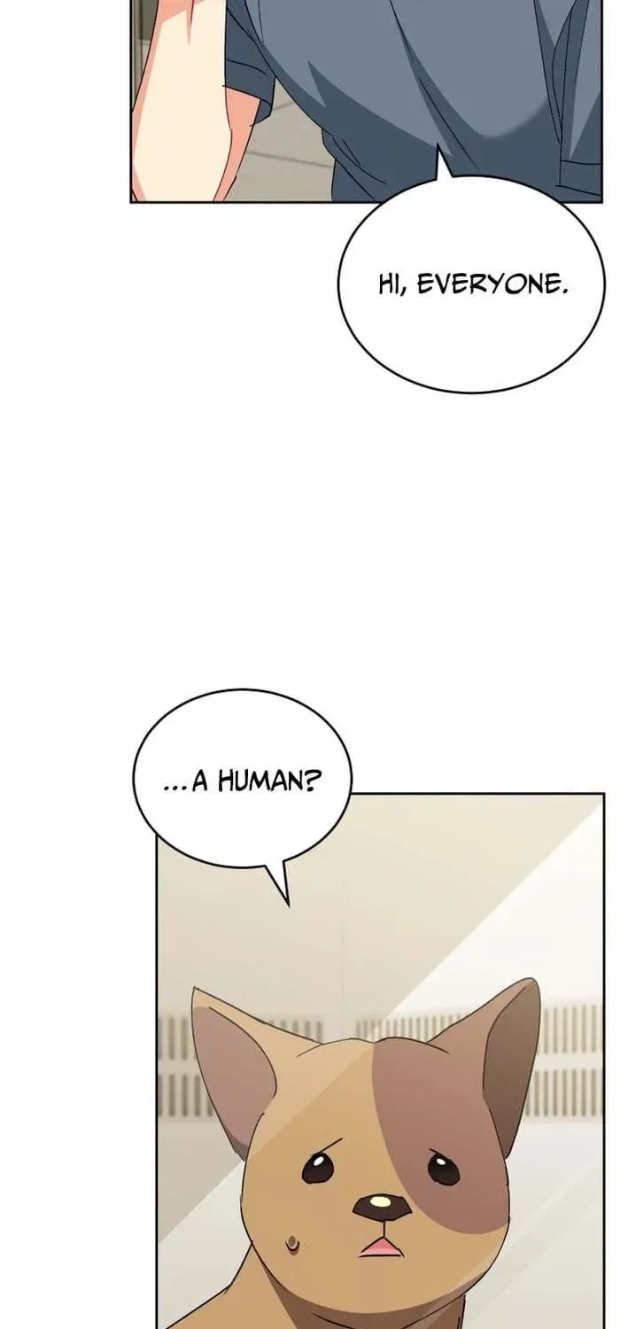Veterinarian! Hello? Chapter 120 – Page 42