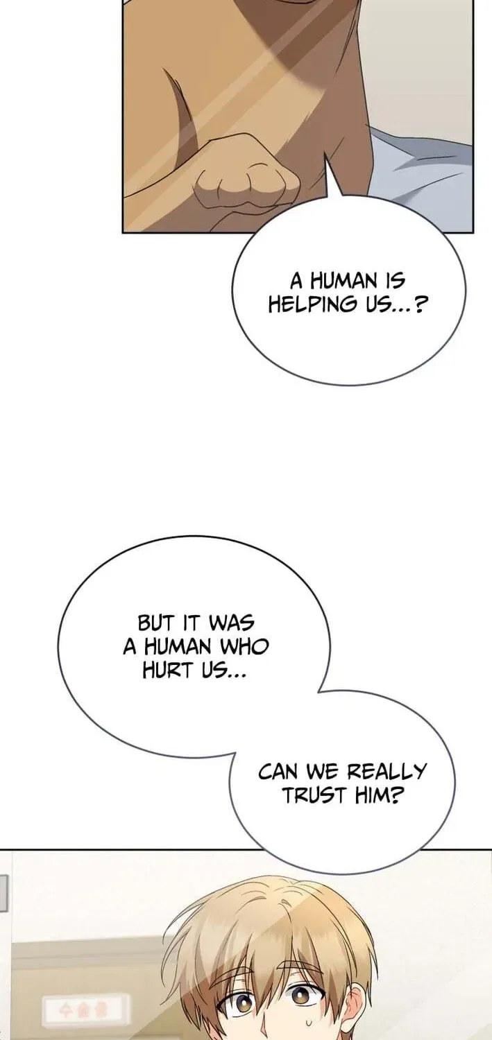 Veterinarian! Hello? Chapter 120 – Page 43