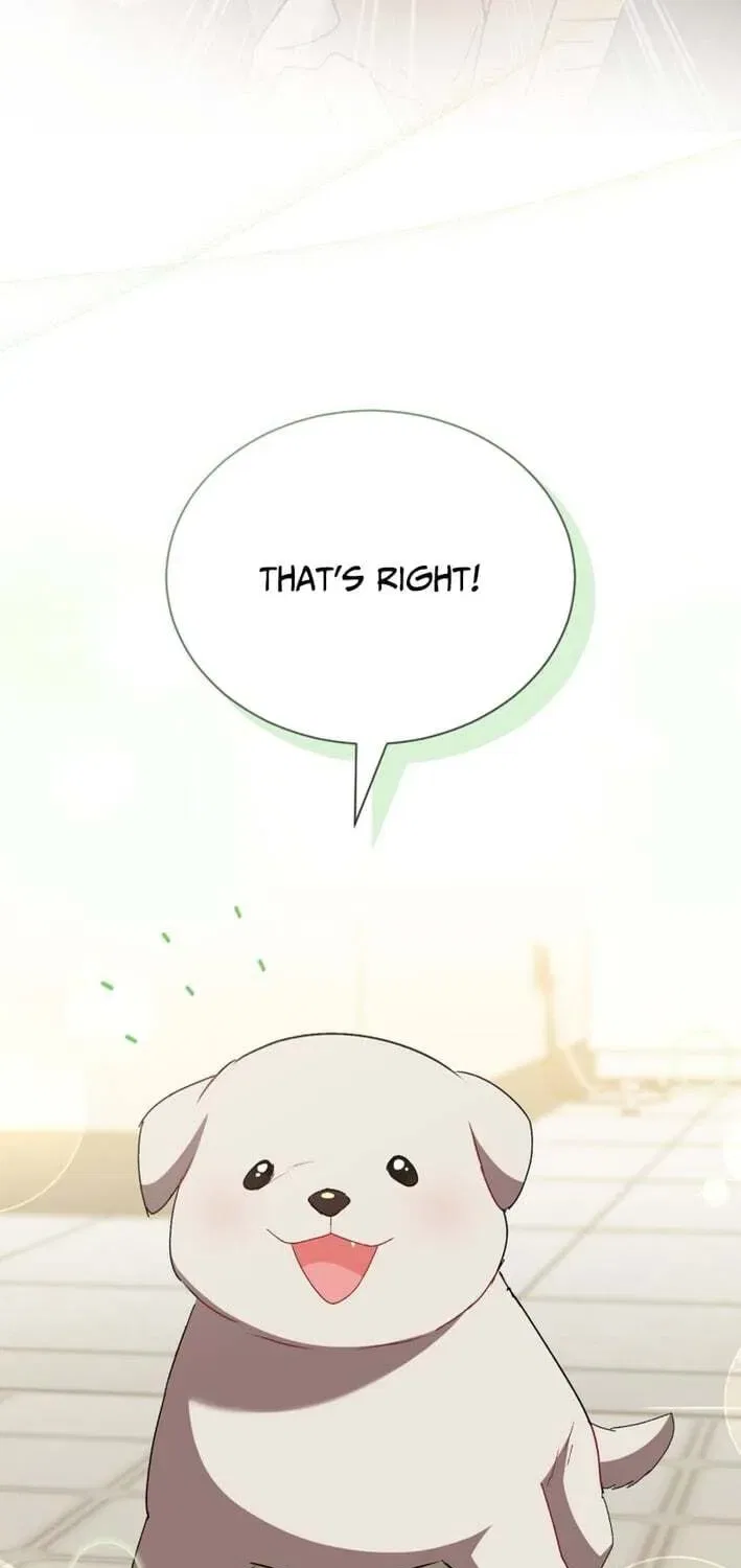 Veterinarian! Hello? Chapter 120 – Page 48